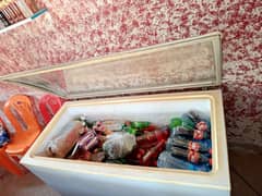 waves deep freezer single door