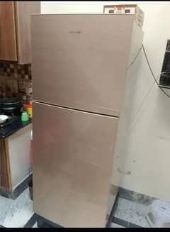 Large size refrigerator