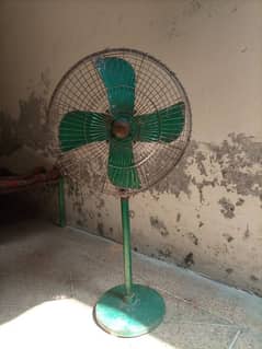 fan