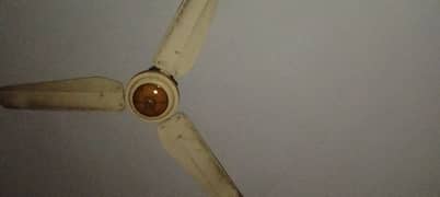 ceiling