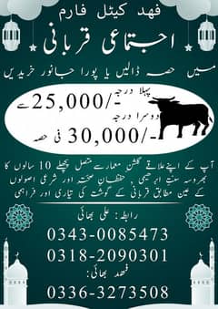 Qurbani
