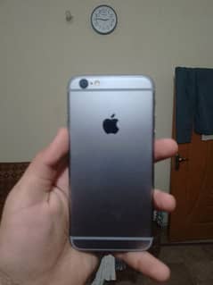 iphone 6