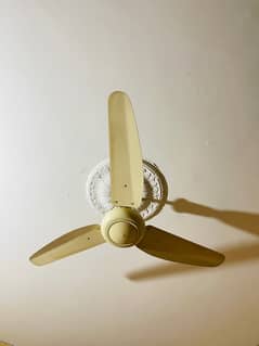 brand new fans