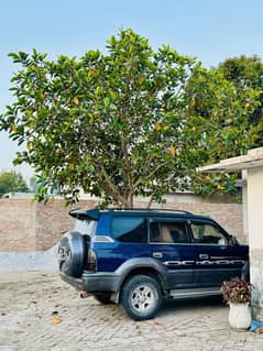 Toyota Prado 1997