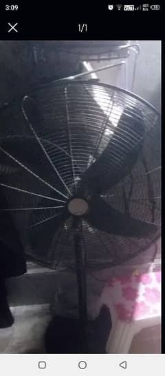 fans.