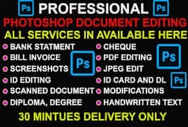 Documents editing and bank statement service 03262492897