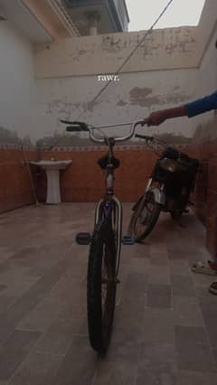 original body