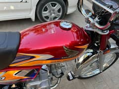 Honda CD 70 2024/25