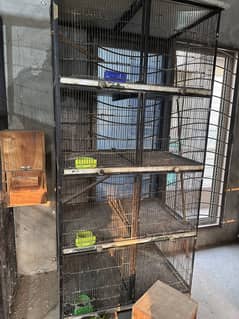 Cage