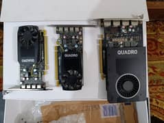 NVIDIA Quadro p2000 p620 bulk quantity available