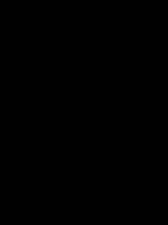 Tandoor karigar