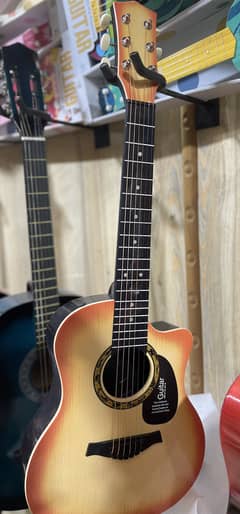 Accoustic guitar