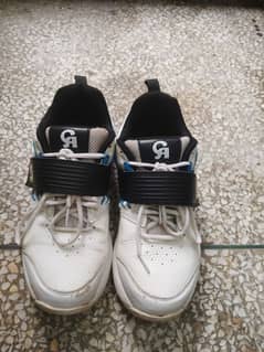 Cricket spikes