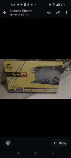 Pel 43inch Smart TV