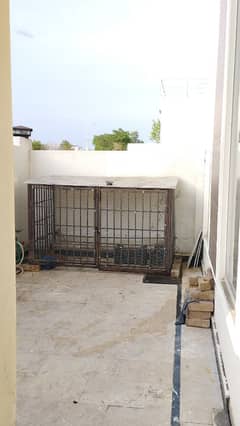 cage for sale