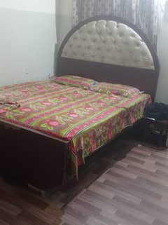 shisham