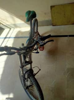 Bicycle