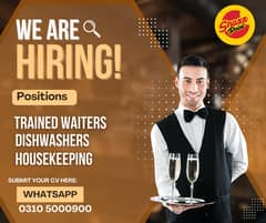 Need Waiter and dishwasher