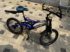 Dual shocks cycle