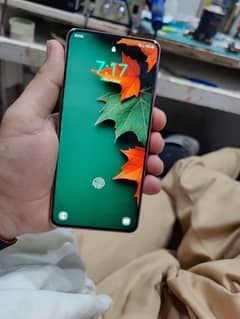 contact number 03189864585