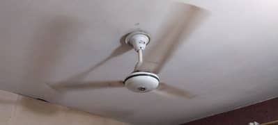 celling fan for sale
