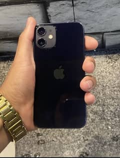 iPhone 12 mini 256