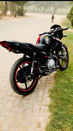 yamaha ybr lush condition