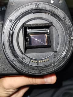 canon EOS 4000D