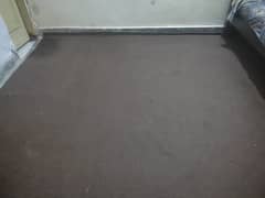 carpet