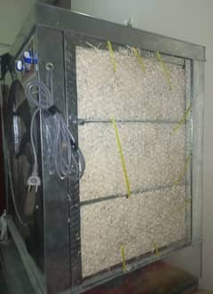 A One Lahori Diamond Fan.