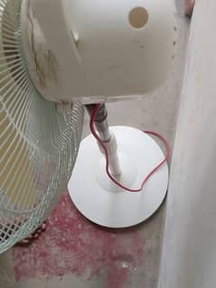 Used