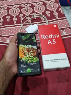 Radmi