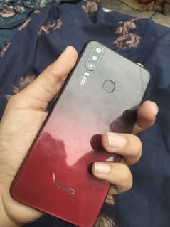 Vivo