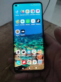 Motorola