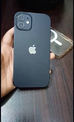 iPhone12