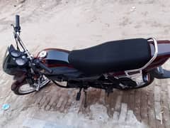 Honda pridor 100cc new brand all jenioun sounds less