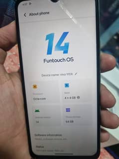 Vivo