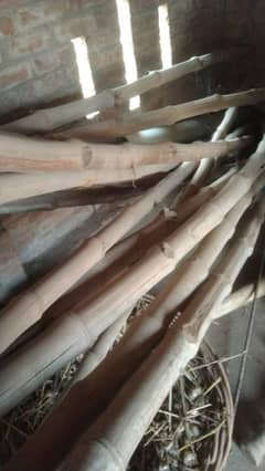 Bamboo pool (bans)