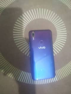 vivo