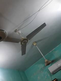 Sogo Fan AC DC