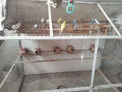 Cage for sale (Iron).