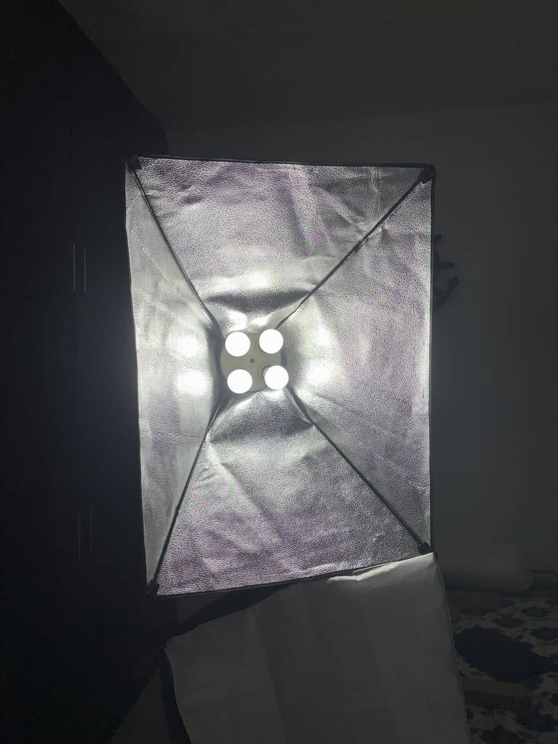 Softbox Studio light and backdrop stand & sheets| complete set 2