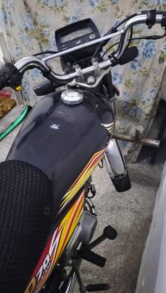 CD
