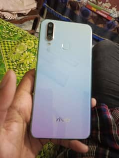 Vivo