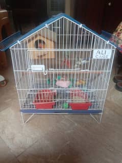 Live bird with cage