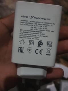 vivo