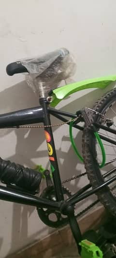 New caycal