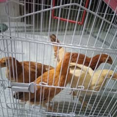price