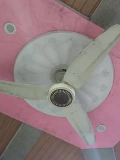10 Ceiling Fans For Sell
