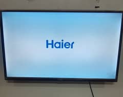 haier